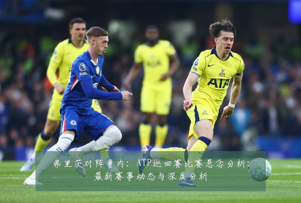 弗里茨对阵鲁内：ATP巡回赛比赛悬念分析：最新赛事动态与深度分析